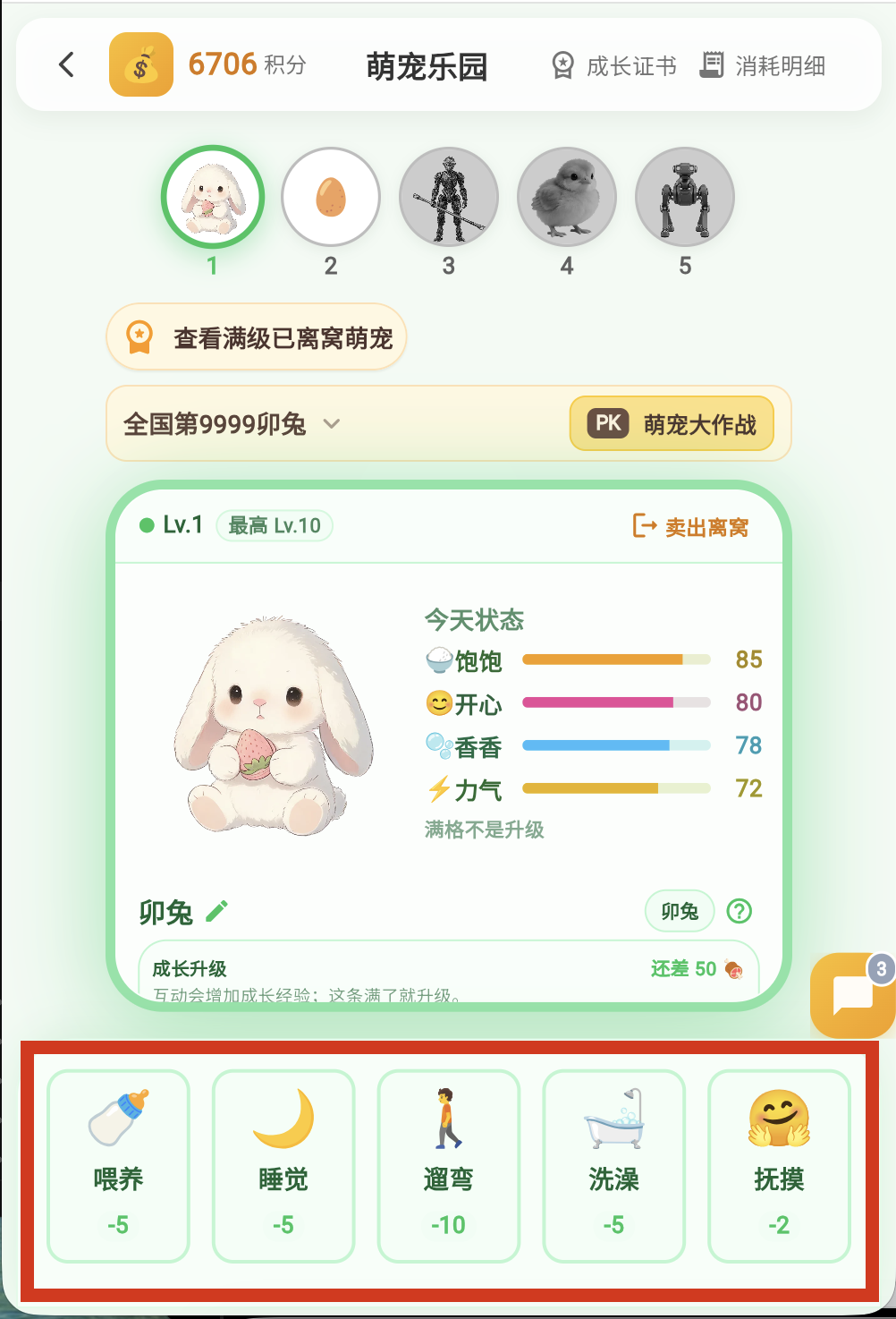 喂养与互动